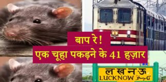 lucknow railway station rti rat