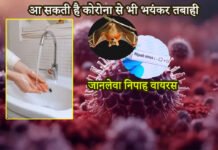 nipah virus news