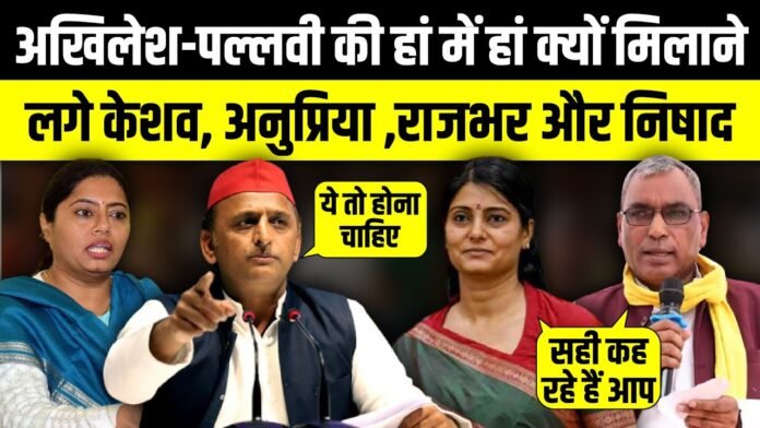 akhilesh yadav