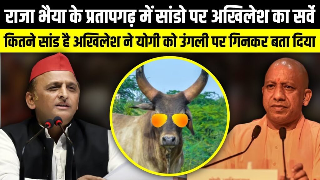 raja bhaiya vs akhilesh yadav